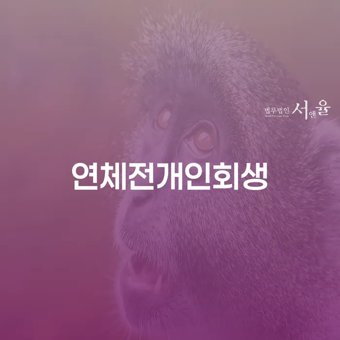 개인회생금지명령 빚 해결할 잘하는 법무법인