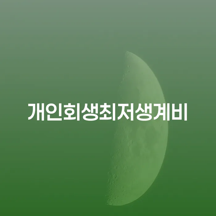 개인회생 개인회생으로 해결방법 살펴보고 있다면