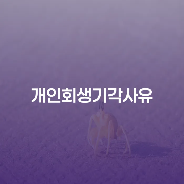 신용회복위원회실효 개인회생 제도 어떻게 진행되는지