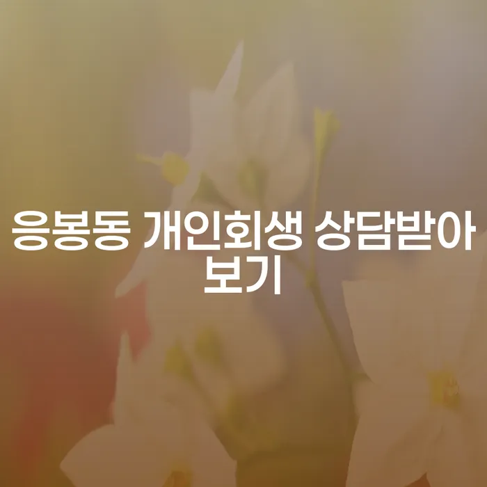 응봉동 개인회생 상담받아보기