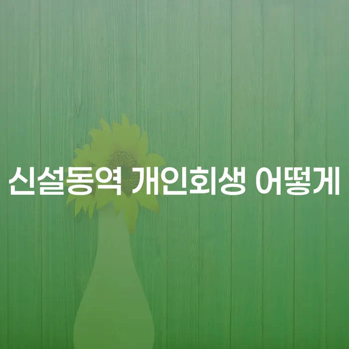 신설동역 개인회생 어떻게
