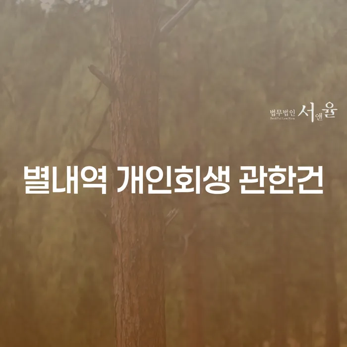 별내역 개인회생 관한건