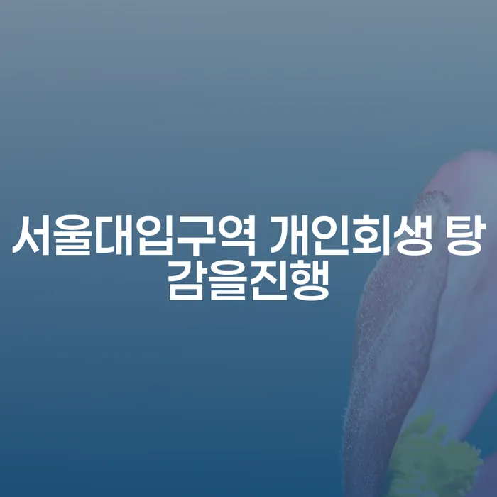 서울대입구역 개인회생 탕감을진행