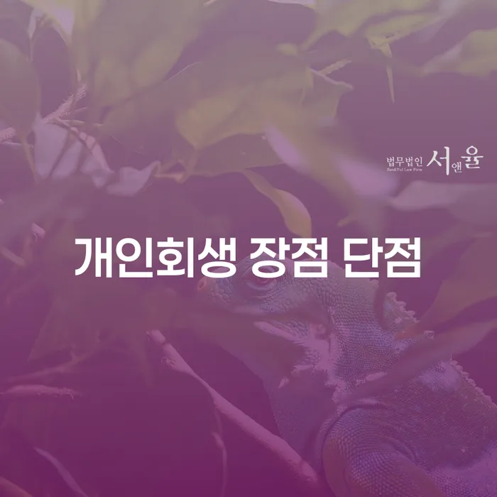 묵동 개인회생 장점과 단점: 재정 회생의 올바른 선택