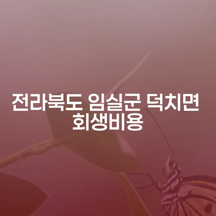 전라북도 임실군 덕치면 회생비용과 5천대출, 어떻게 해결할 수 있을까요?